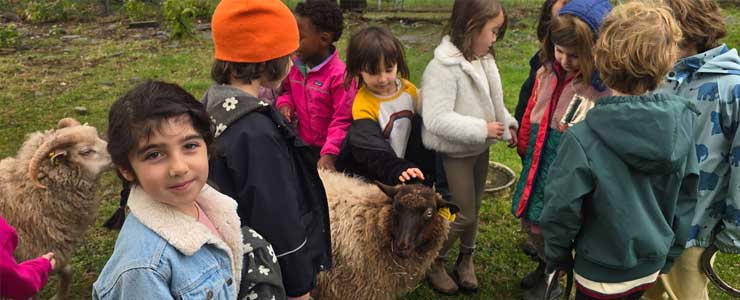 MWS Summer of Wonder: Farm!